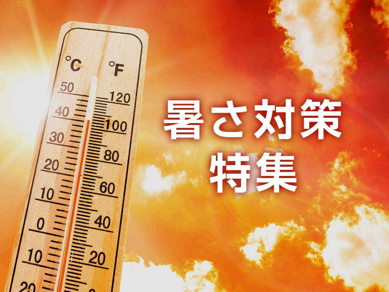 特集画像